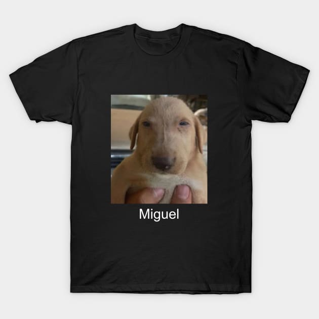 Miguel meme shitpost unisex T-Shirt by Hamza Froug